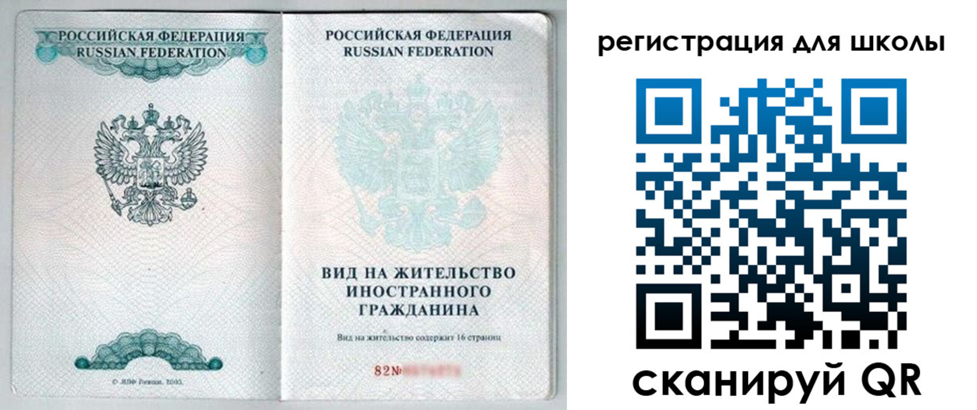 прописка гарантия в Амурской области