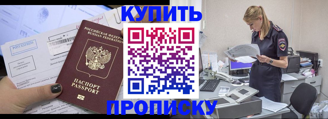 временная регистрация поиск в Амурской области